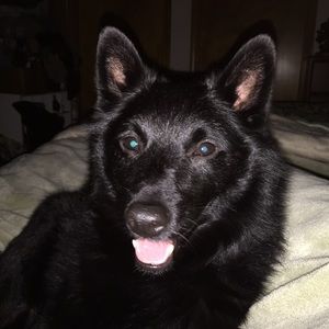 Meet your Posher, Dorrie